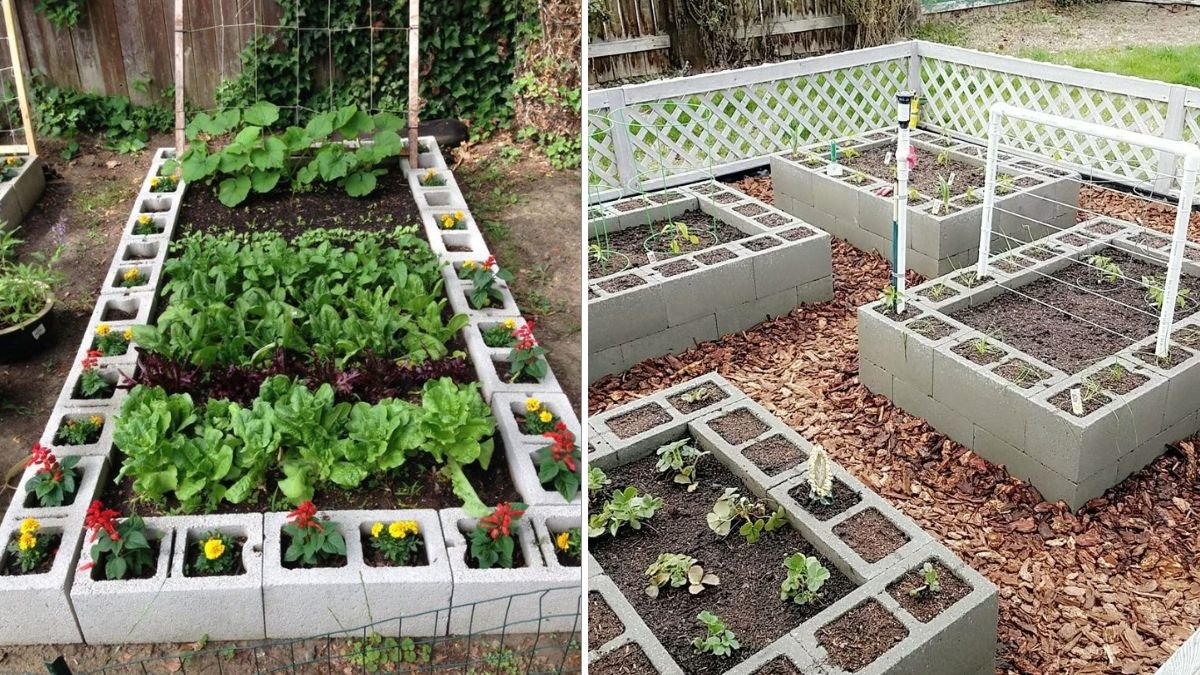 New Technique: Discover Innovative Methods That Can Transform Your Gardening, Home Projects, and Everyday Life