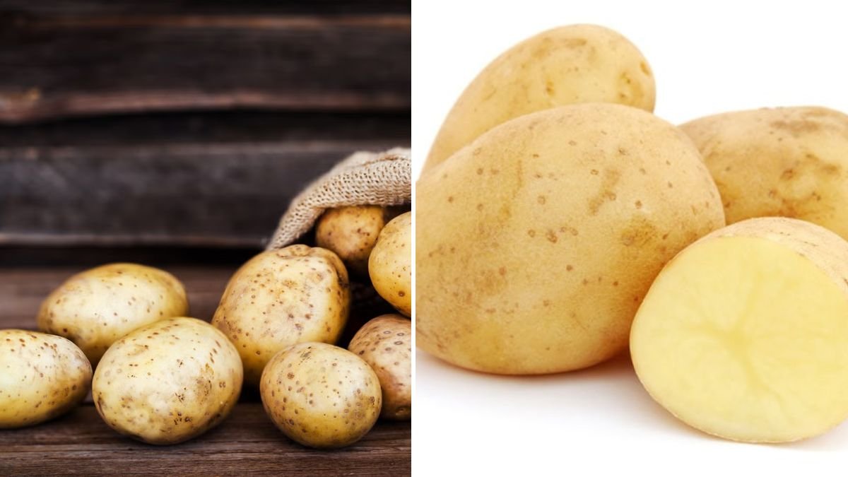 The Powerful Effects of Potatoes: Health Benefits, Nutritional Value, and Why This Humble Vegetable Is a Superfood