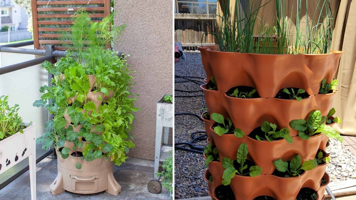 A Great New Technique That Transforms Gardening: The Future of Growing Starts Here