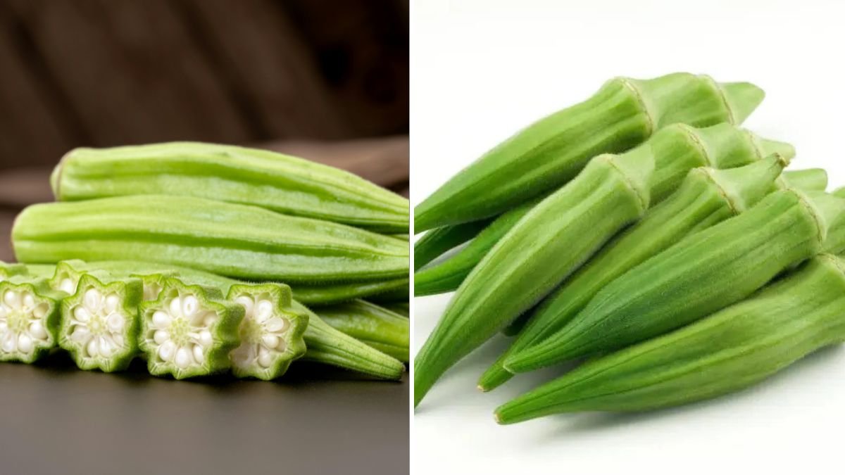 Growing Okra in Plastic Bottles for Big Harvests Even in Small Spaces