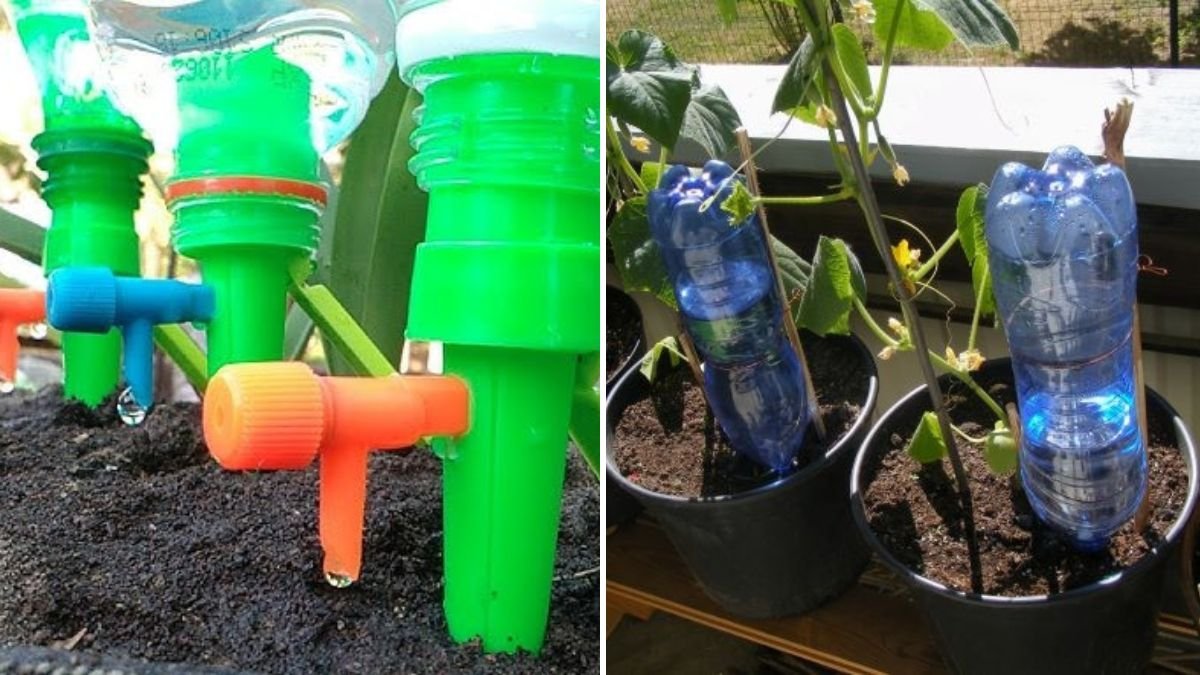 Improvised Dripper System: How to Create a Low-Cost Drip Irrigation at Home